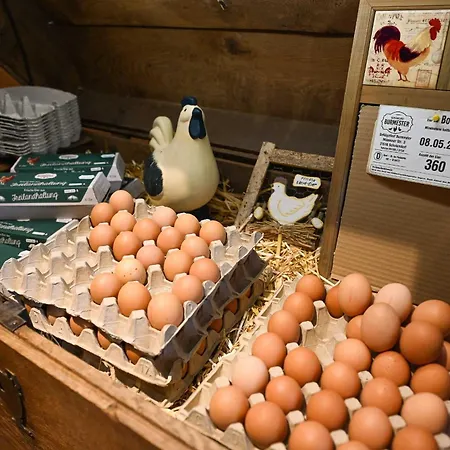 Vakantiehuis Tiny House Pioneer 1 - Salemer Salem (Schleswig-Holstein)