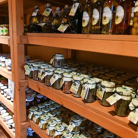 Tiny House Pioneer 1 - Salemer Vakantiehuis