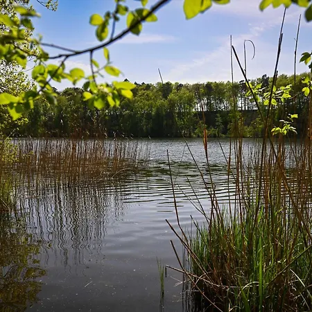 Tiny House Pioneer 1 - Salemer Vakantiehuis Salem (Schleswig-Holstein)