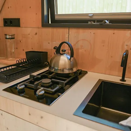 Vakantiehuis Tiny House Pioneer 1 - Salemer