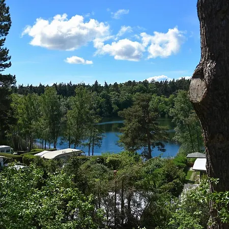 Vakantiehuis Tiny House Pioneer 1 - Salemer